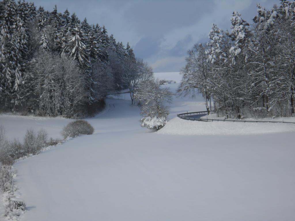 ホテルLandgasthof Schutzen Tengen エクステリア 写真